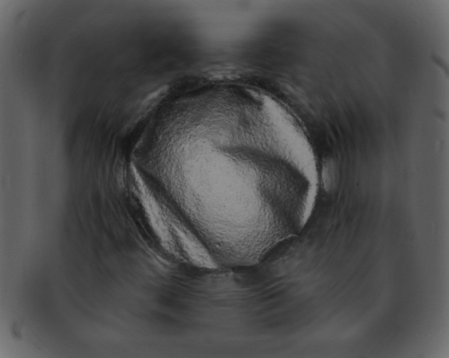 X0000093121444200710171235