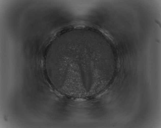 X0000093121445200710171235