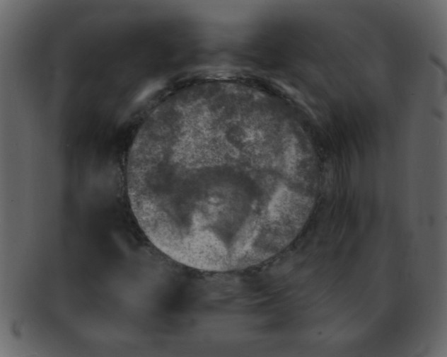 X0000093121446200710171235