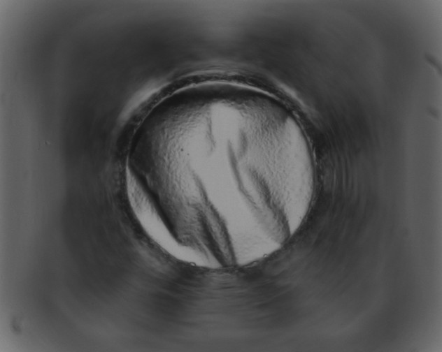 X0000093121448200710171235