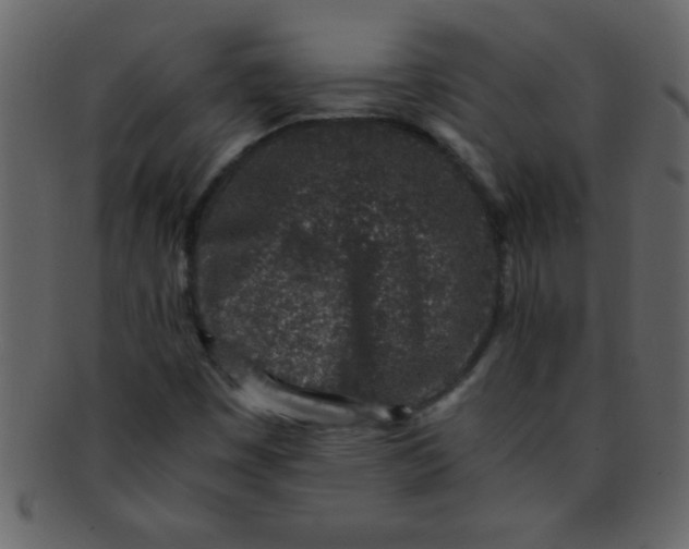 X0000093121449200710171235