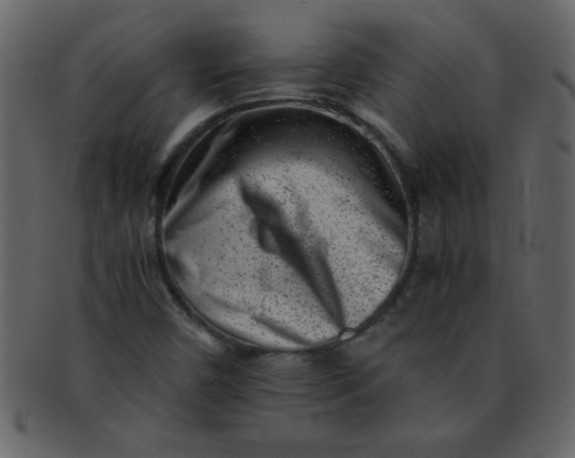 X0000093121450200710171235