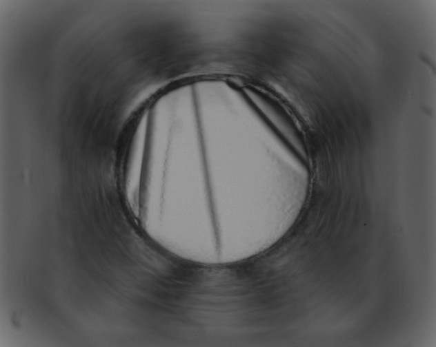 X0000093121452200710171235