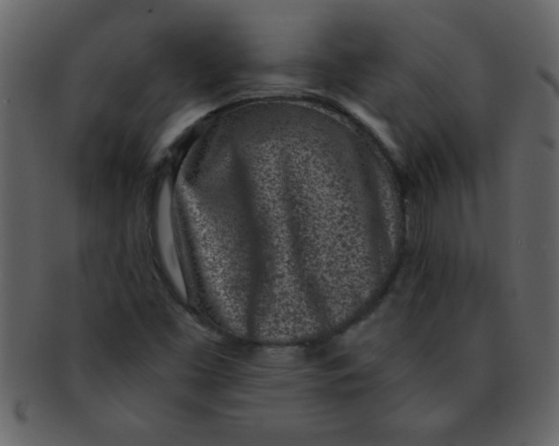 X0000093121453200710171235