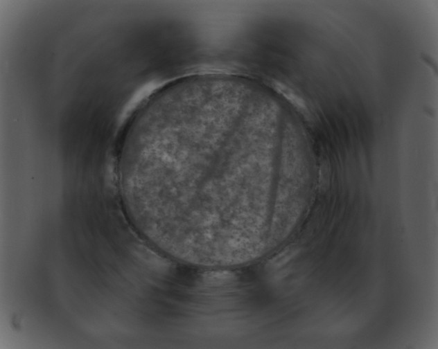 X0000093121454200710171235