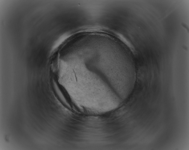 X0000093121456200710171235