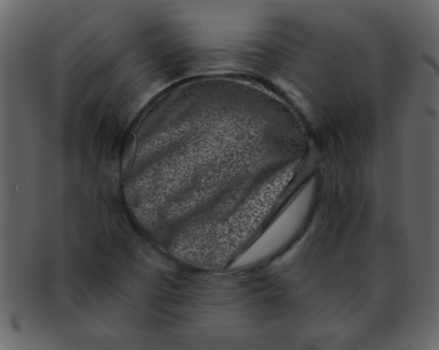 X0000093121457200710171235