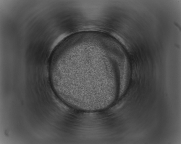 X0000093121458200710171234