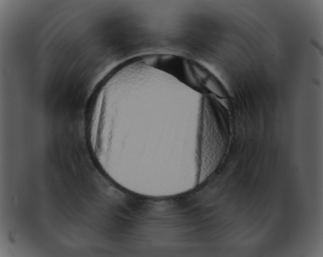 X0000093121460200710171234