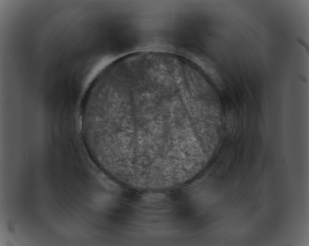 X0000093121462200710171234