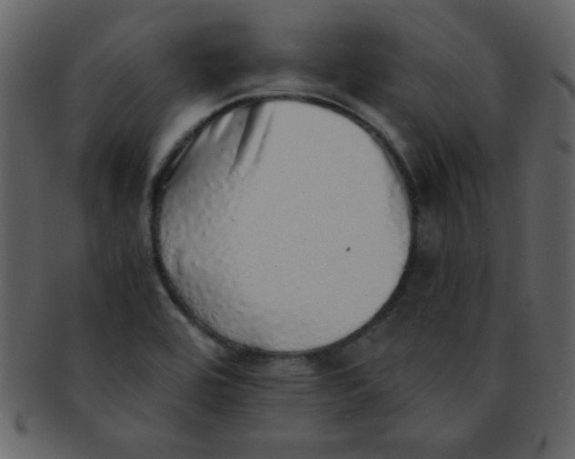 X0000093121464200710171234