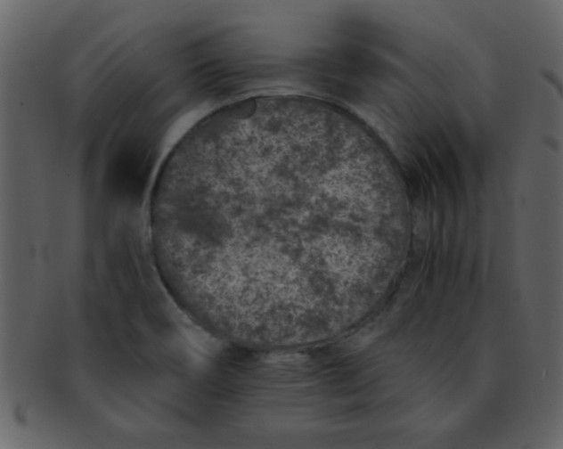 X0000093121466200710171234