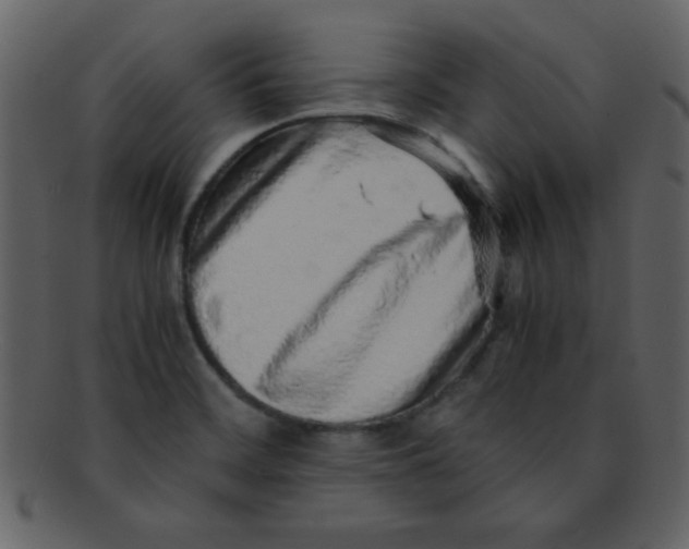 X0000093121468200710171234