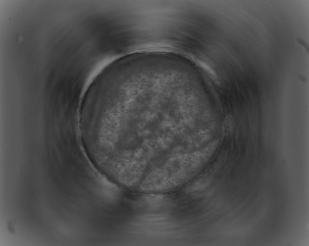 X0000093121470200710171234