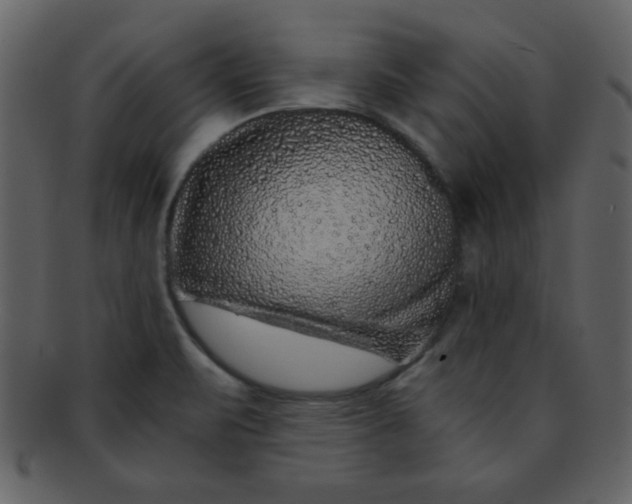 X0000093121471200710171234