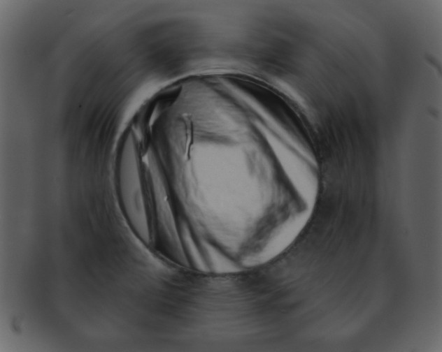 X0000093121472200710171234