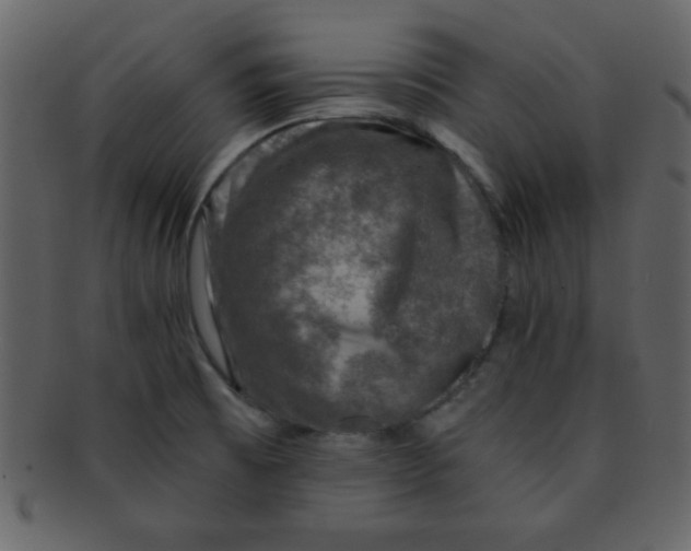 X0000093121473200710171234