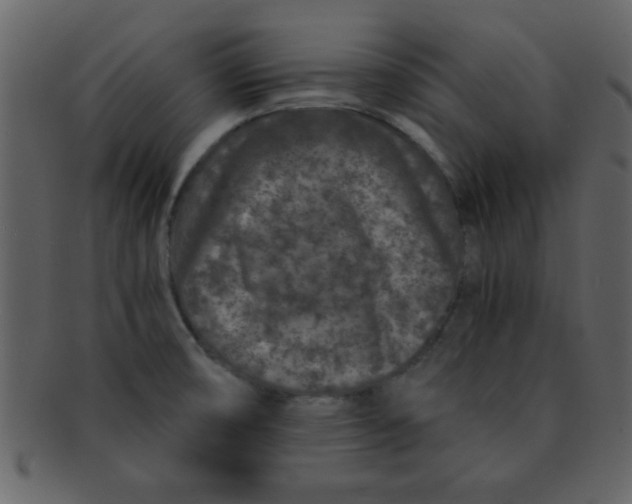 X0000093121474200710171234