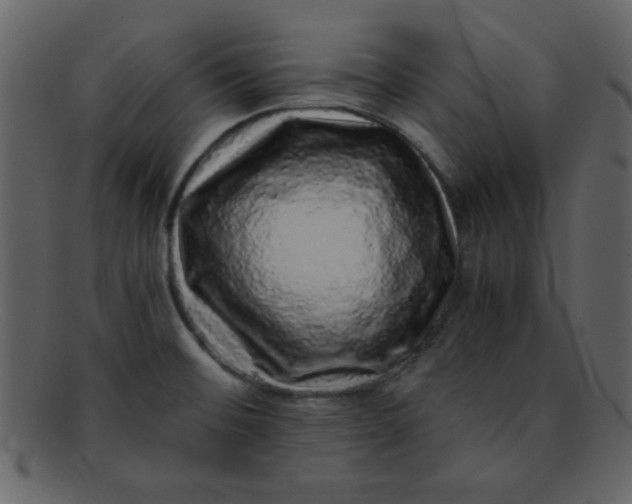 X0000093121476200710171234