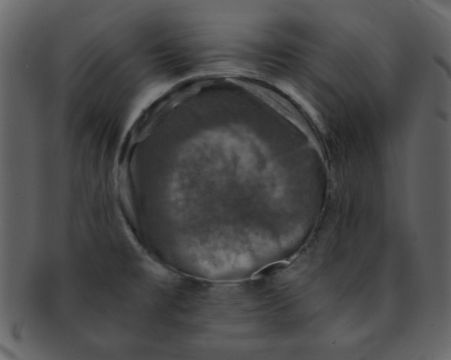 X0000093121477200710171234