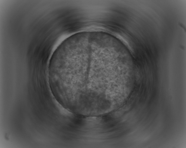 X0000093121478200710171234