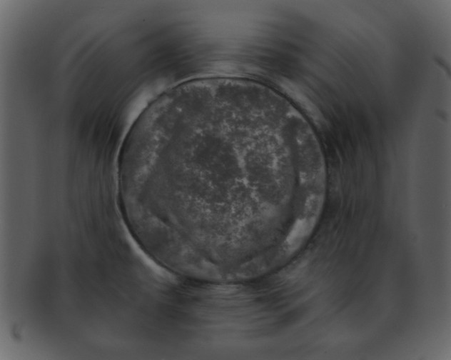 X0000093121479200710171234