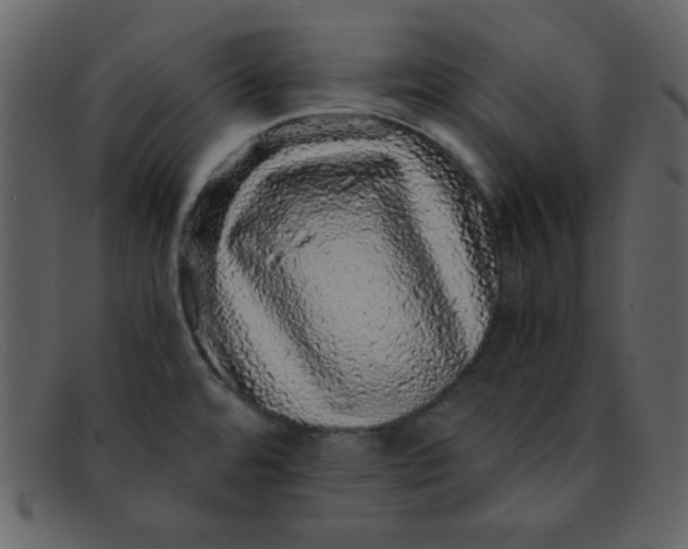 X0000093121480200710171234