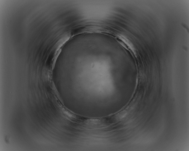 X0000093121481200710171234