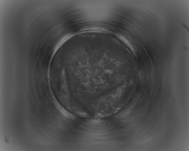 X0000093121482200710171234