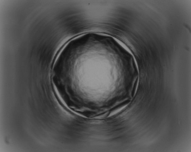 X0000093121484200710171234