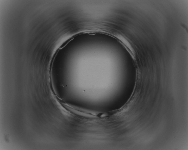 X0000093121485200710171234