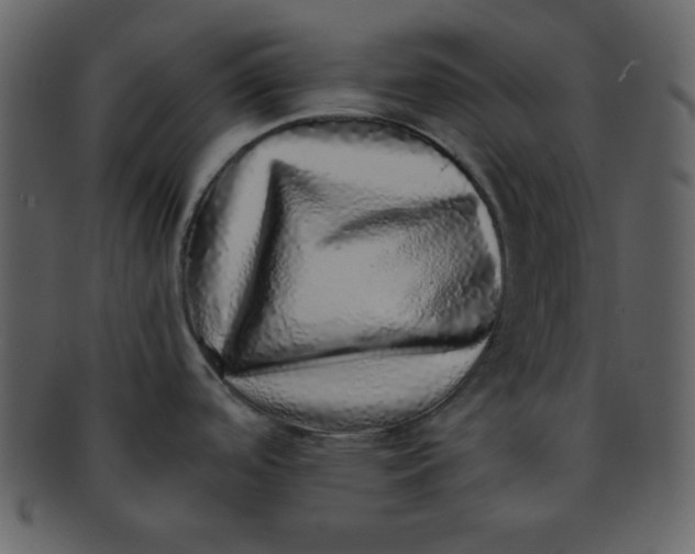 X0000093121488200710171234