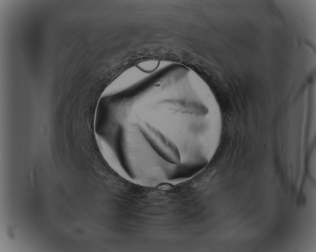 X0000093121489200710171233