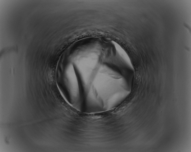 X0000093121490200710171233