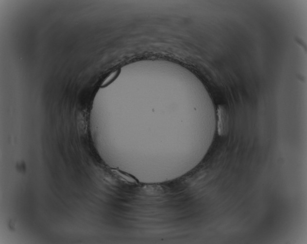 X0000093121491200710171233