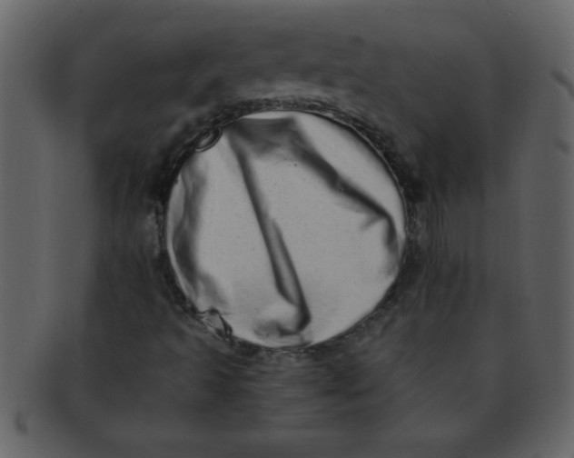 X0000093121493200710171233