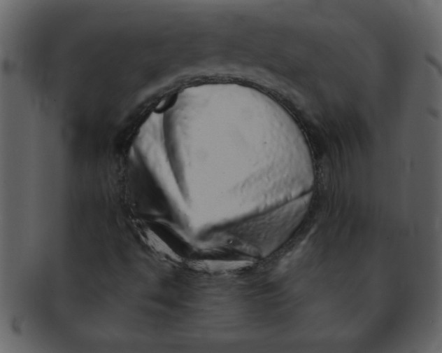 X0000093121494200710171233