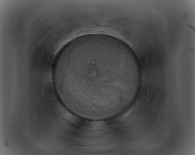 X0000093121498200710171234