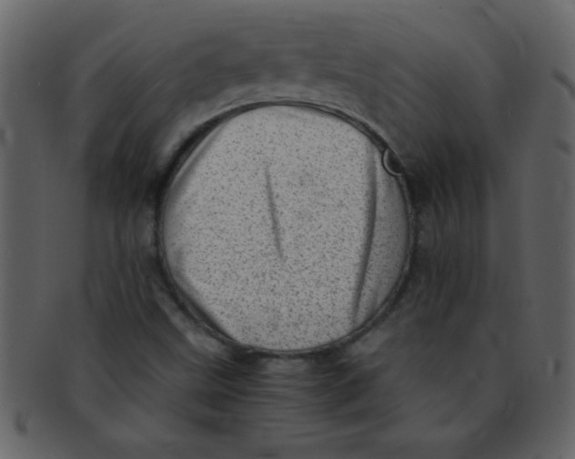 X0000093121499200710171234