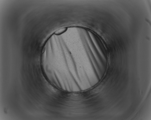 X0000093121500200710171234