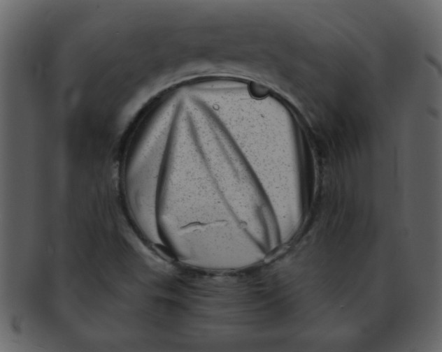 X0000093121503200710171234