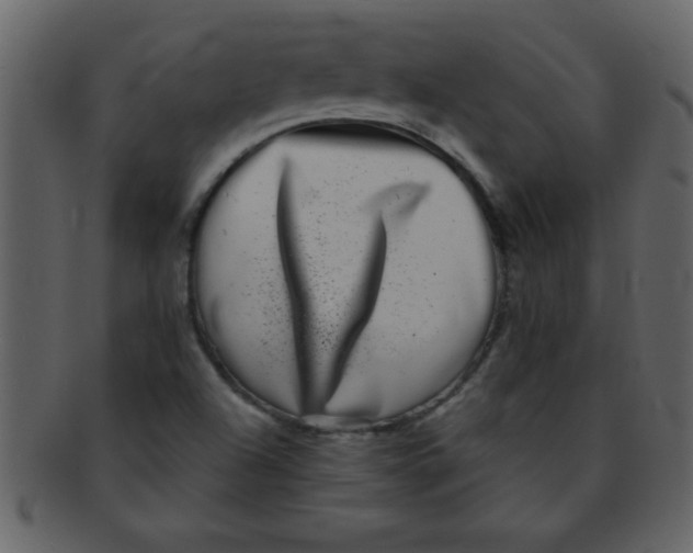 X0000093121504200710171234