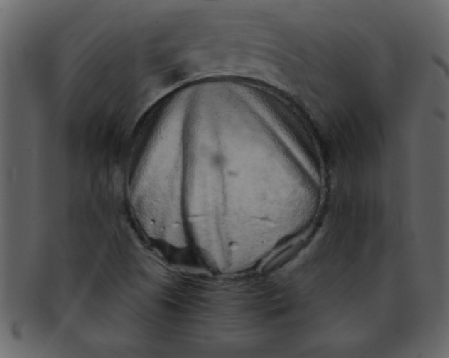 X0000093121505200710171234