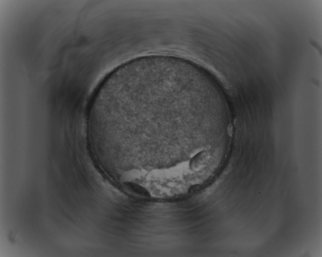 X0000093121506200710171234