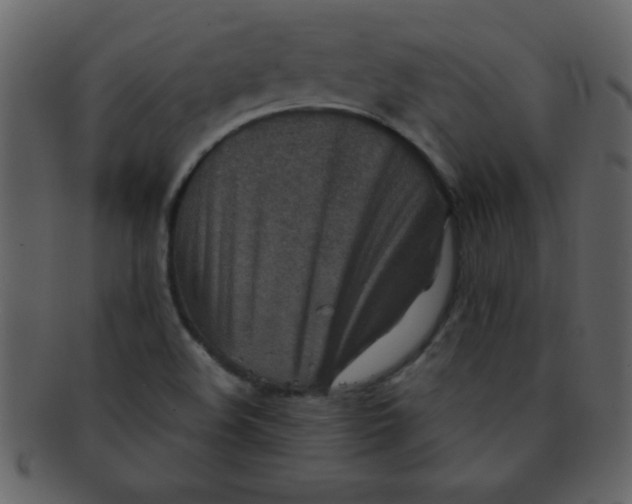 X0000093121508200710171234