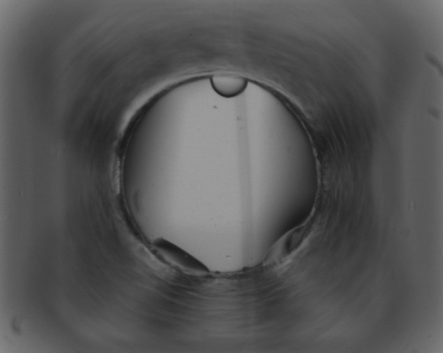 X0000093121510200710171234