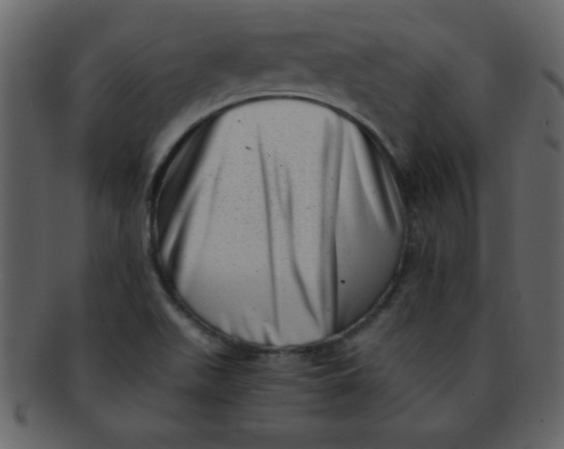 X0000093121511200710171234