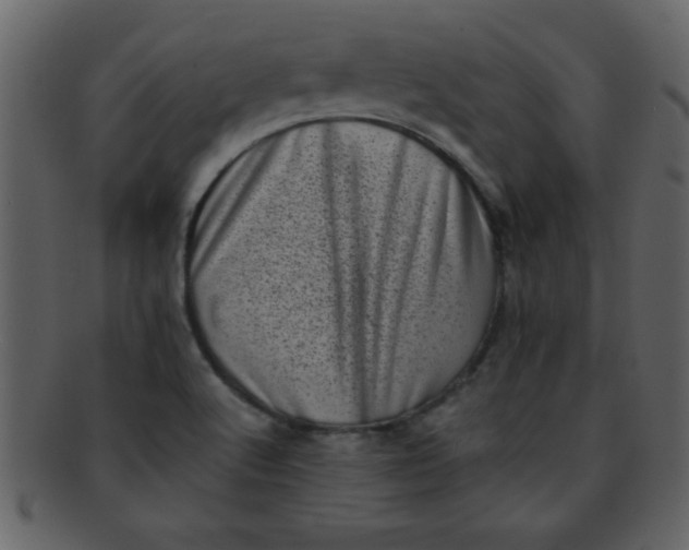 X0000093121512200710171234