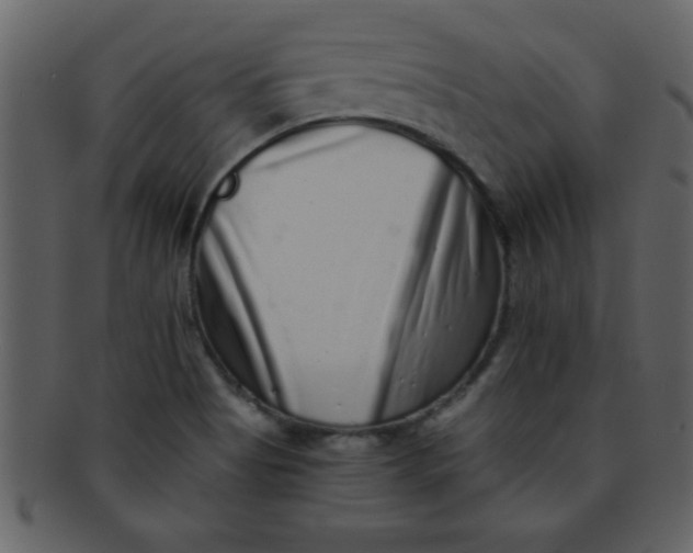 X0000093121513200710171234