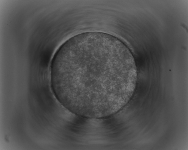 X0000093121514200710171234